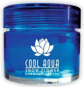 Дезодорант "AZARD" на панель банка "Cool Aqua" Снежный цветок